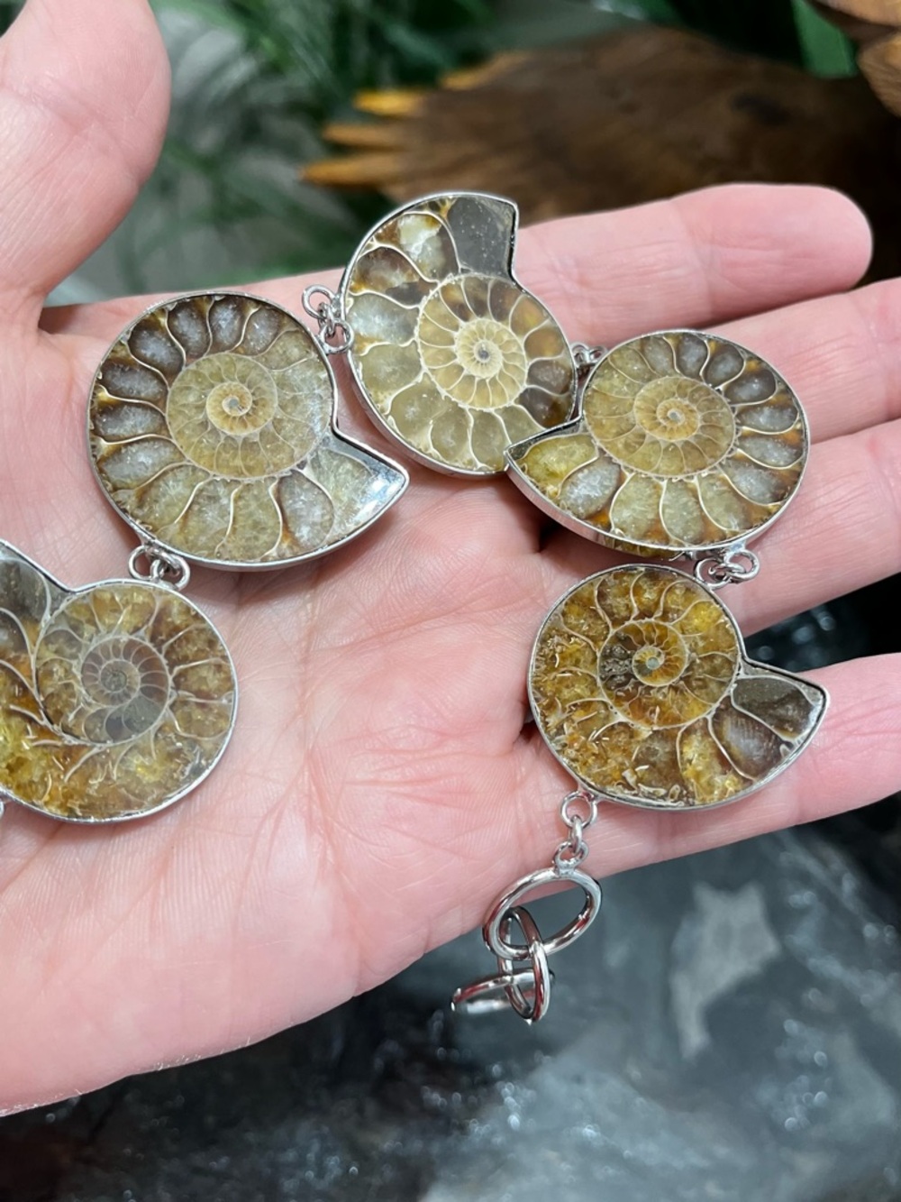 NWOT Organic Ammonite Toggle Bracelet
